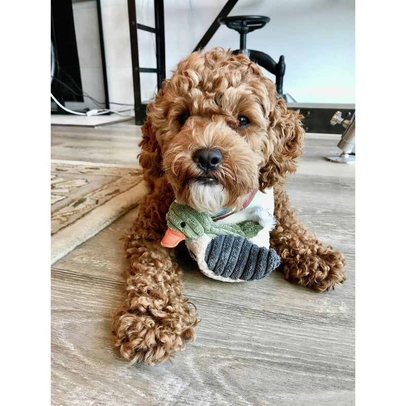 Tall Tails Small Classic Plush Squeaker Toy for Dogs, Duckling - Image 3
